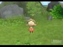 Te contamos con todo detalle cuales serán las próximas entregas de Harvest Moon en llegar a occidente