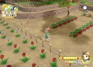 Un vdeo y nuevas imgenes de Harvest Moon Heroes para Wii
