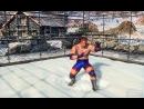 Virtua Fighter 5 - Los dos nuevos personajes de la saga, en vídeo HD