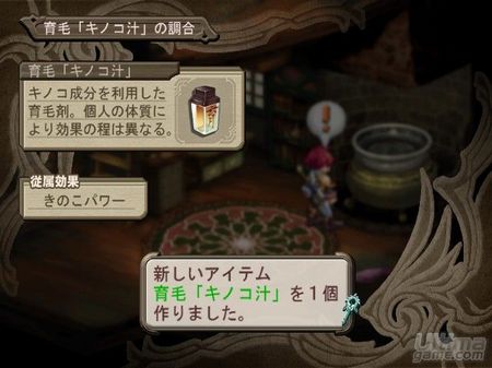 Nuevas imgenes y detalles de Atelier Iris - Grand Fantasm