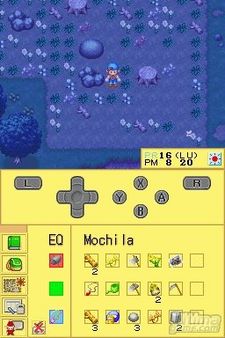 Harvest Moon DS, al descubierto con capturas de la versin espaola