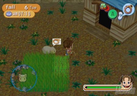 Convirtete en un perfecto granjero con Harvest Moon: Magical Melody