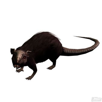 Las nuevas opciones de Lara Croft en Tomb Rainder Anniversary en su versi�n para Wii