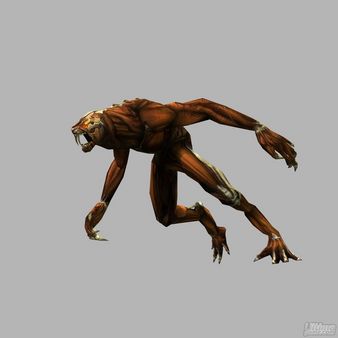 Las nuevas opciones de Lara Croft en Tomb Rainder Anniversary en su versión para Wii