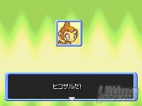 Pokmon Mystery Dungeon Time - Dark Exploration Team nos muestra sus mejores bazas con un nuevo vdeo