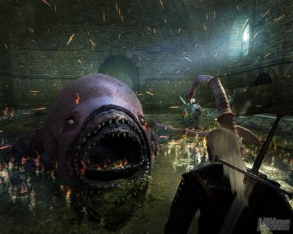 The Witcher: Rise of White Wolf... Cancelado definitivamente?