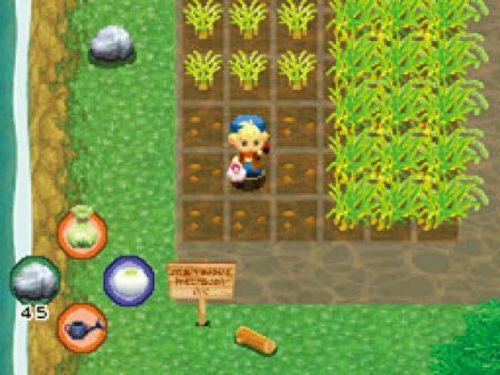 Un vdeo y nuevas imgenes de Harvest Moon Heroes para Wii
