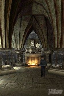 Galer�a de im�genes de Harry Potter y la Orden del F�nix para DS y PSP