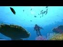 En profundidad - Descubre Endless Ocean