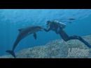 En profundidad - Descubre Endless Ocean
