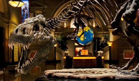 Pon a prueba tus conocimientos en el s�ptimo arte con Scene It? Lights, Camera, Action