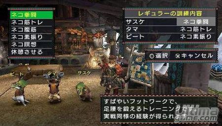 Monster Hunter Freedom 2nd G nos desvela parte de su nuevo arsenal en im�genes