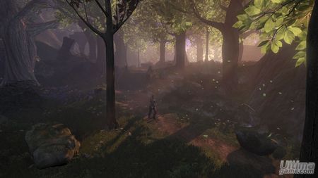 Fable 2 - El regalo de la libertad de eleccin