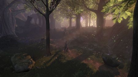 Fable 2 - Descubre todos los secretos de los juegos descargables y la edicin coleccionista.
