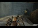 Deadly Creatures - Descubre la apuesta más salvaje de THQ para Wii