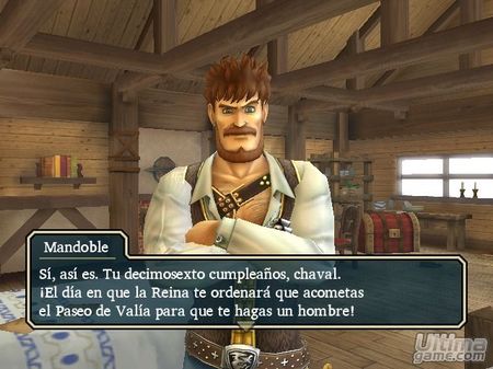 Dragon Quest Swords - Nuevos detalles y capturas del prometedor t�tulo de Square Enix