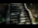 Alone In the Dark - Near Death Investigation nos descubre todos sus secretos