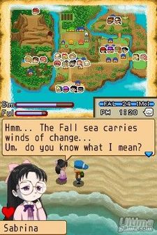 Detalles y nuevas imgenes de Harvest Moon - You and the Island