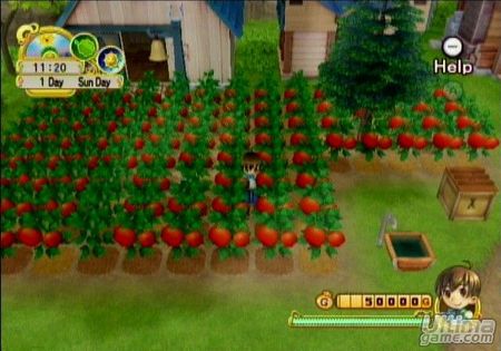 Un vdeo y nuevas imgenes de Harvest Moon Heroes para Wii