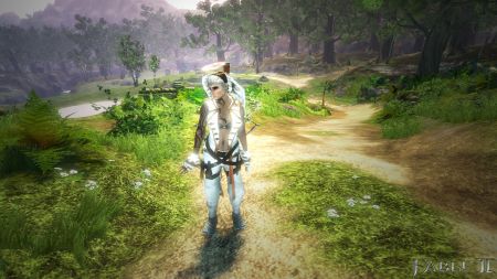 Fable 2 - El regalo de la libertad de eleccin