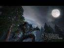 Fable 2 y su original modo cooperativo para dos jugadores