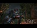 Fable 2 y su original modo cooperativo para dos jugadores