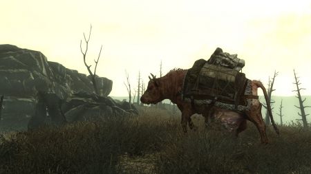 Fallout 3. Descubre un poco ms sobre el que puede convertirse en juego del ao.