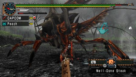 Monster Hunter Freedom 2nd G nos desvela parte de su nuevo arsenal en imgenes