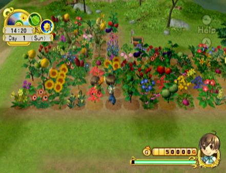 Un vdeo y nuevas imgenes de Harvest Moon Heroes para Wii