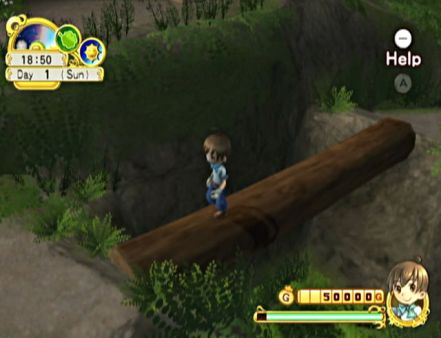 Un v�deo y nuevas im�genes de Harvest Moon Heroes para Wii