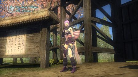 Dynasty Warriors StrikeForce -  Ayane entra en acci�n