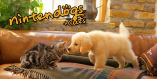 Nintendogs + Cats