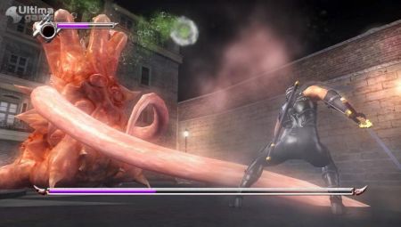 Ninja Gaiden Sigma, al descubierto con espectaculares nuevas capturas