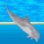 Dolphin Friends consola
