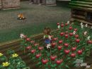 Nuevas imágenes del Harvest Moon: A Wonderful Life para GameCube