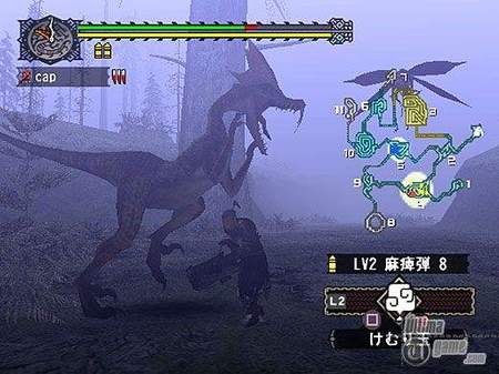En Europa, Monster Hunter tendr opcin on-line