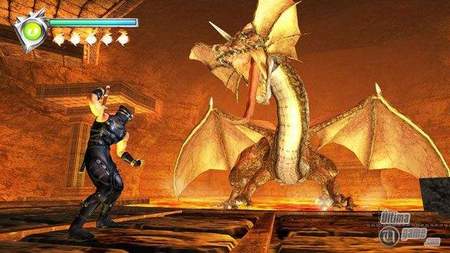 Accin "Ninja Gaiden" en estado puro