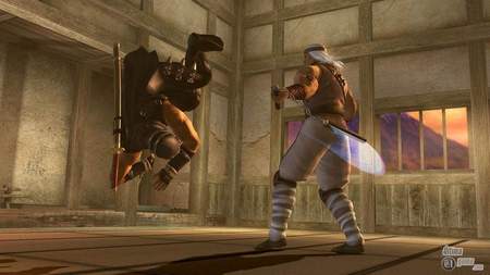 Accin "Ninja Gaiden" en estado puro