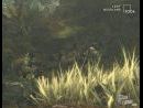 Modificada la fecha de salida en USA de Metal Gear Solid 3