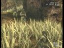 9 nuevas imágenes de Metal Gear Solid 3: Snake Eater