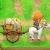 Harvest Moon 3DS