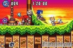 Sonic Advance 3 nos ensea sus cartas.