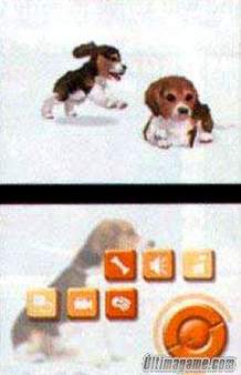 ¡¡¡Nintendo DS a 129.99$ con el lanzamiento de Nintendodogs!!!