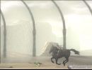 4 nuevos scans de Wanda & the Giant