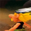 Asterix & Obelix XXL consola