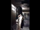 Condemned: El primer modelo de terror que llegará a las nuevas máquinas y al PC