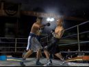 20 nuevas imágenes de Fight Night Round 2