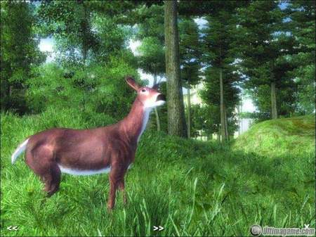 The Elder Scrolls IV - Oblivion se reeditar en una edicin especial