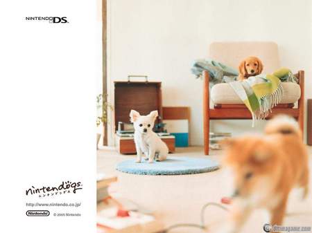 Nintendo DS a 129.99$ con el lanzamiento de Nintendodogs!!!