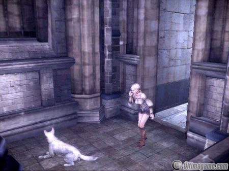 Los distintos tipos de �rdenes que podremos dar a Hewie en Haunting Ground